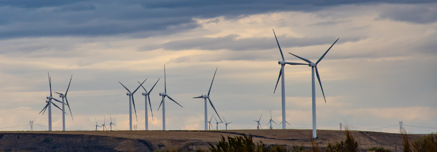 شركة فيوتشر للطاقة image